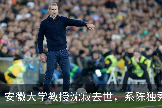 安徽大学教授沈寂去世，系陈独秀、胡适研究专家