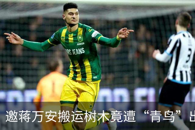 邀蒋万安搬运树木竟遭“青鸟”出征,清洁队长:我好内疚、很难过